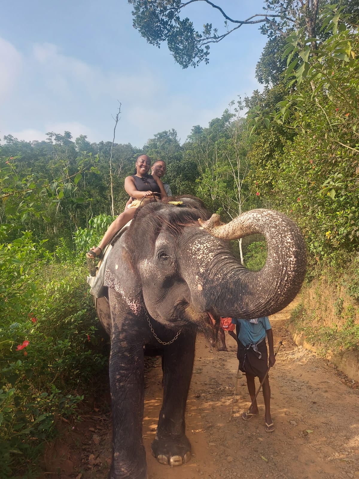 Elephant Ride 3